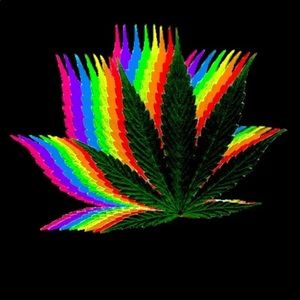 Meet your Posher, Phoenix